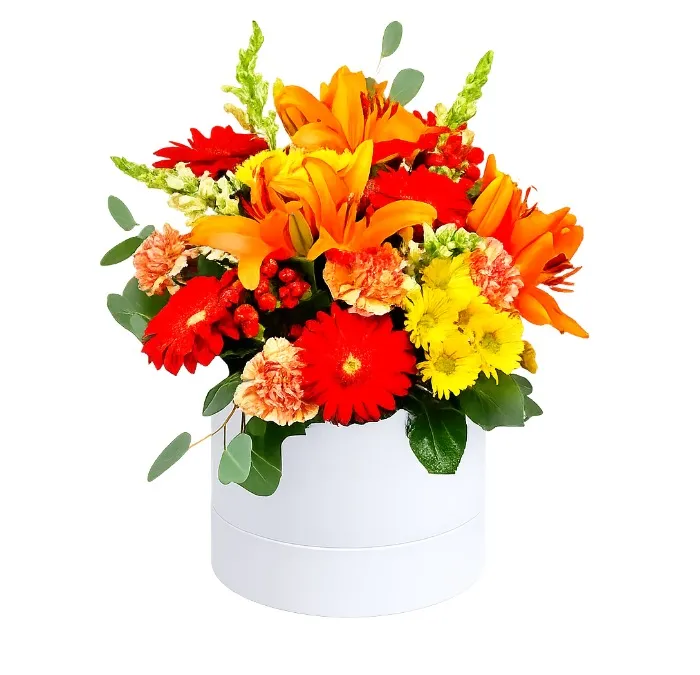 Flowerbox Ekscytujący