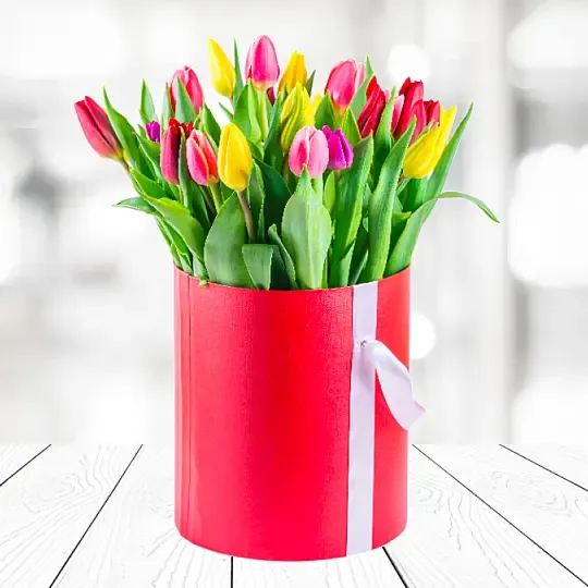 Flowerbox of 25 Colorful Tulips