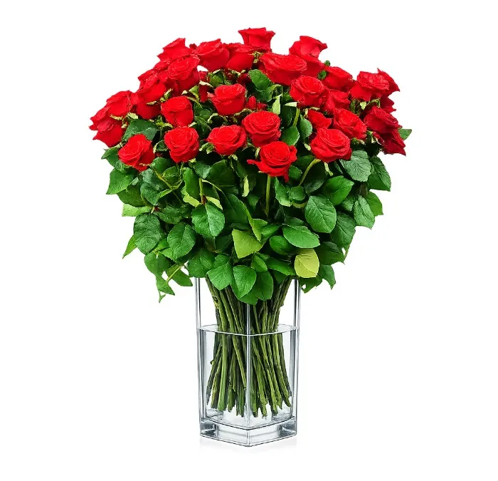 60 Red Roses
