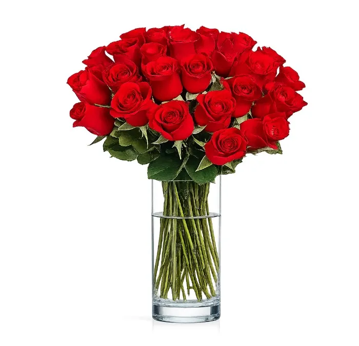 30 Red Roses