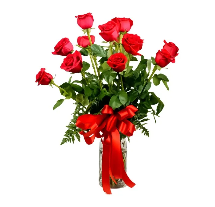11 Red Roses - Holland