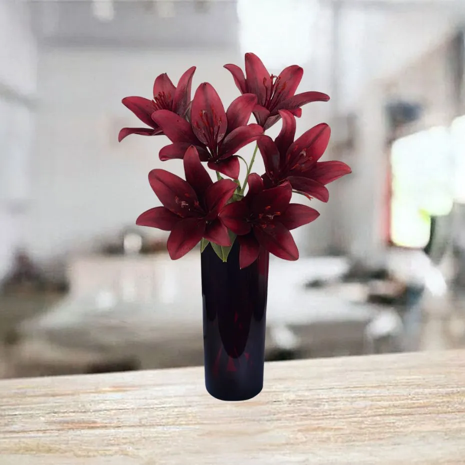 7 bordowych lilii