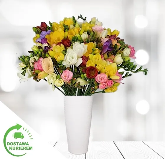 Bukiet 50 kolorowych frezji
