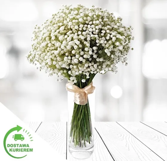 Bukiet gipsówki (500g)