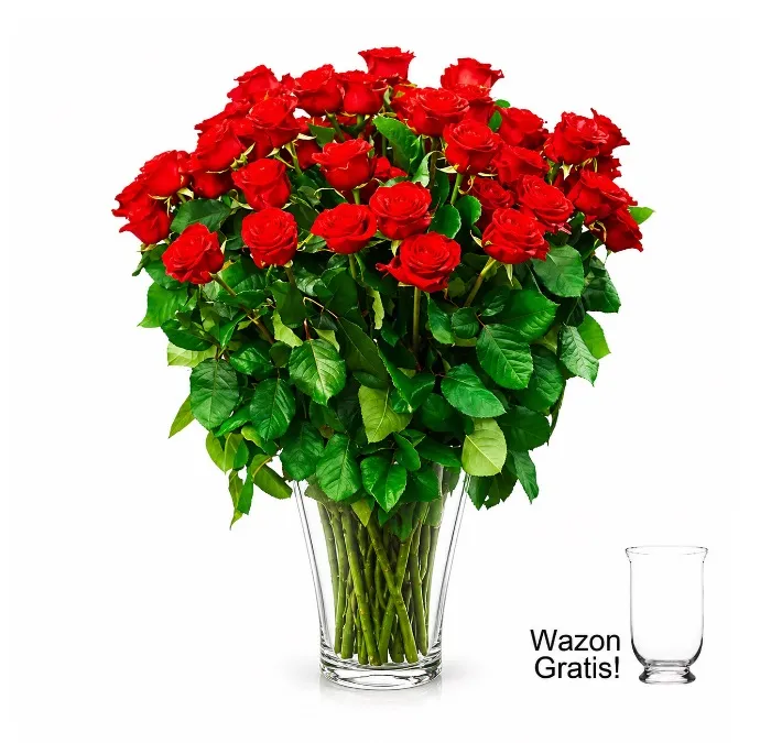 60 Red Roses to Germany