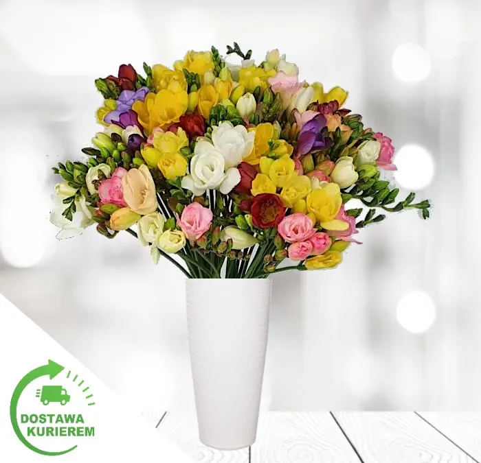 Bukiet 50 kolorowych frezji