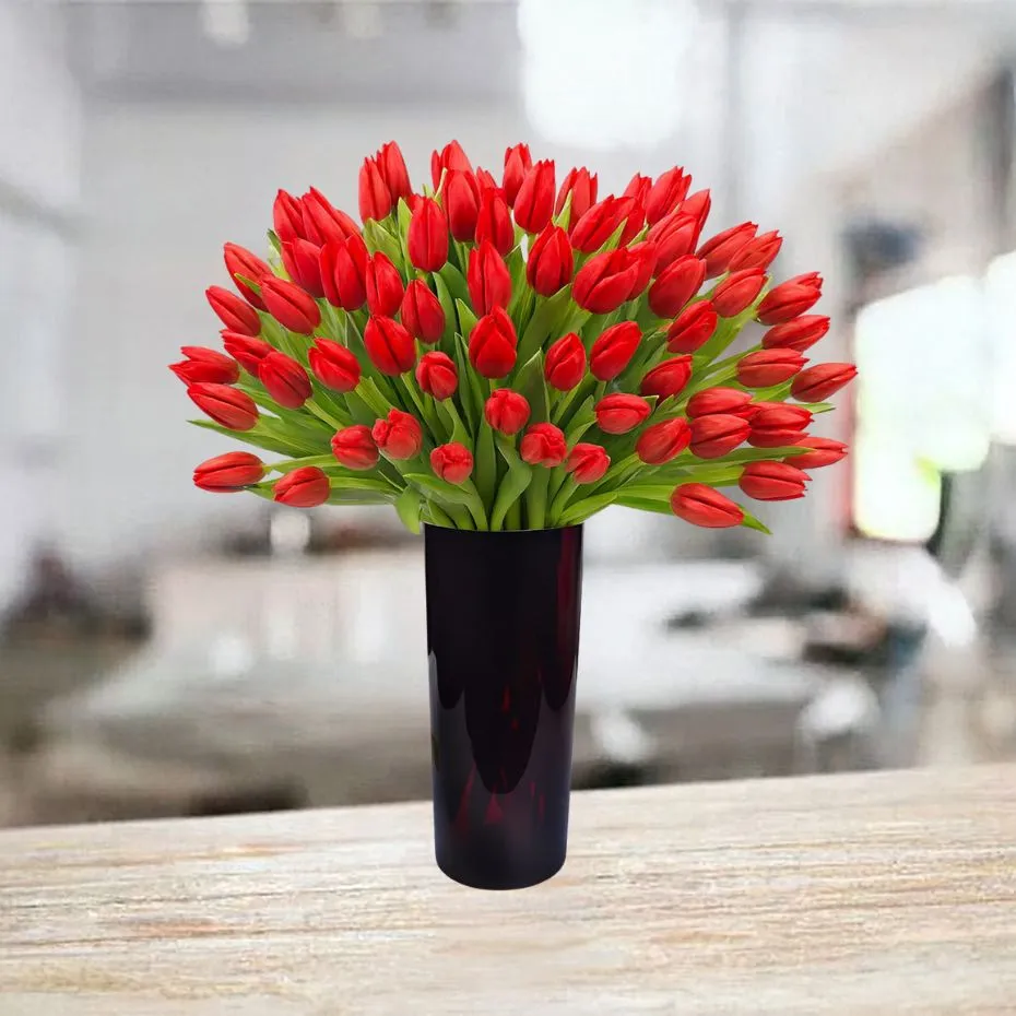 50 czerwonych tulipanów