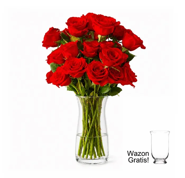 20 Red Roses to Germany
