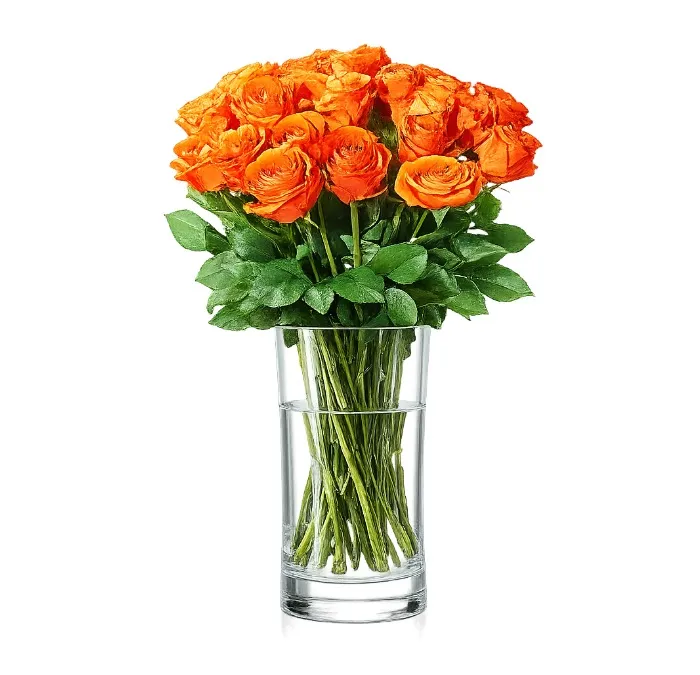 23 Orange Roses