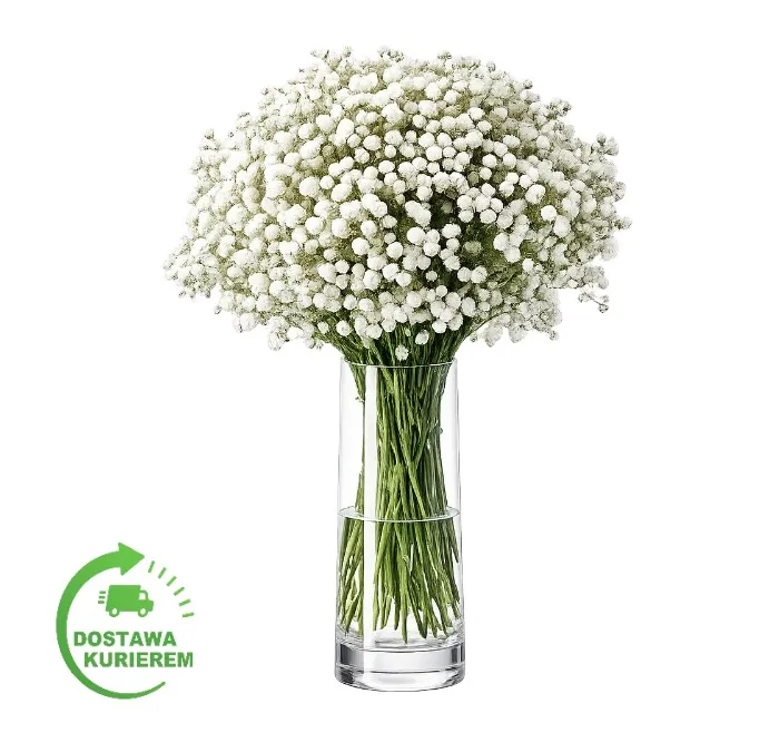 Bouquet of gypsophila (500g)