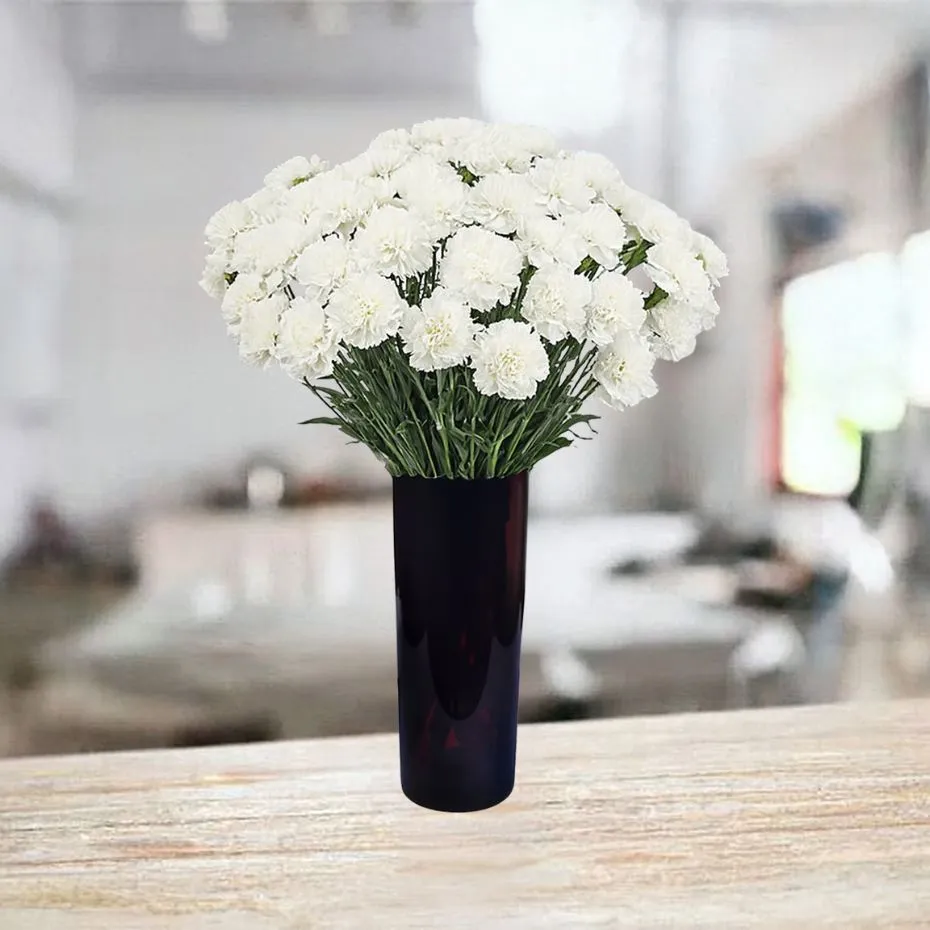 50 white carnations