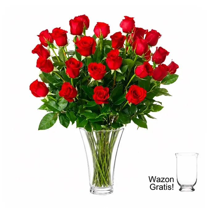 30 Red Roses to Germany