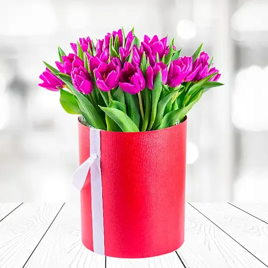 Flowerbox 25 fioletowych tulipanów