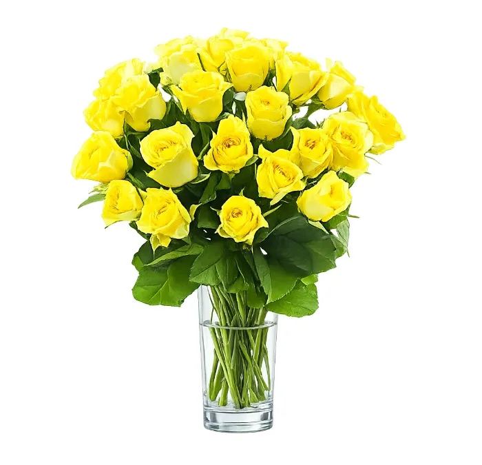 18 Yellow Roses