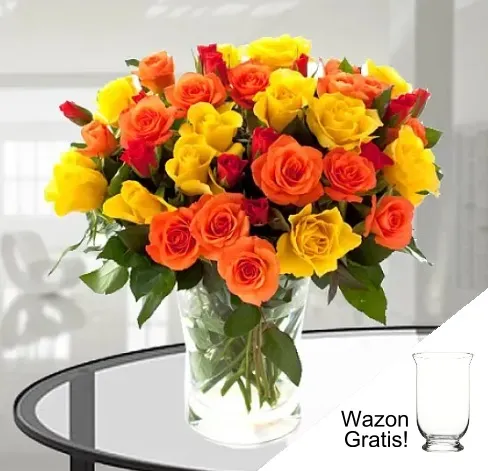 30 Colorful Roses to Germany
