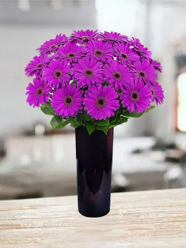 Produkt 15 fioletowych gerber Zdjęcie
