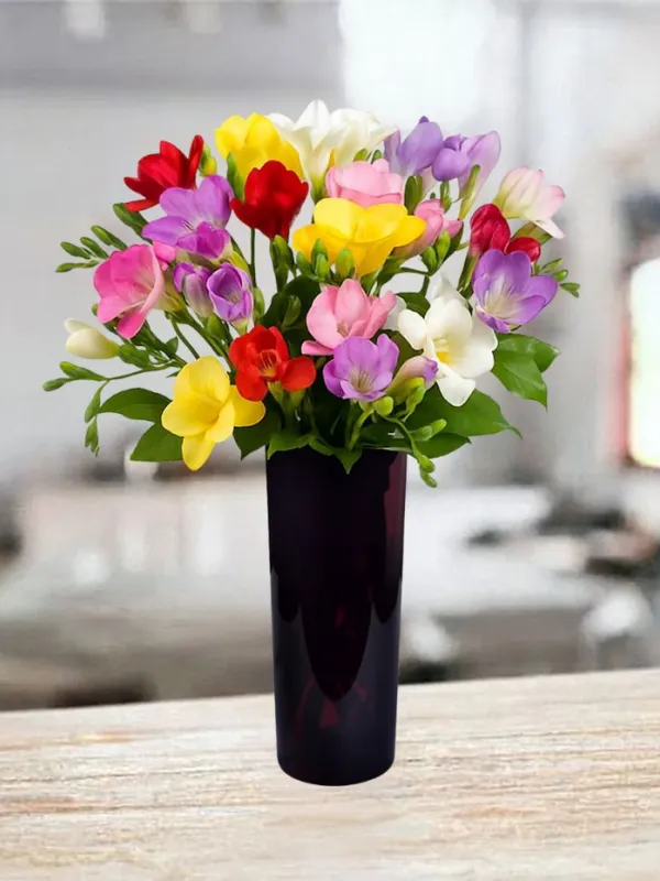 Produkt 15 Kolorowych Frezji Zdjęcie