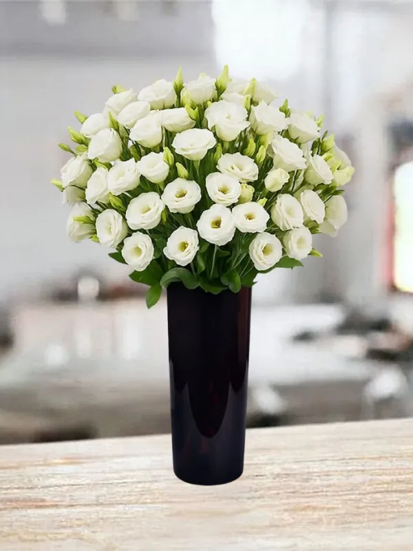 Produkt 50 Białych Eustom Zdjęcie