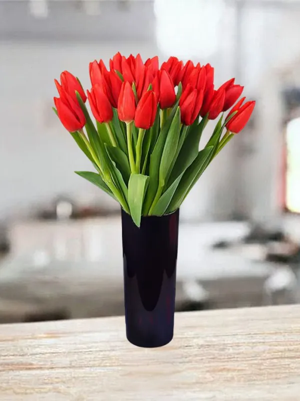 Produkt 21 czerwonych tulipanów Zdjęcie