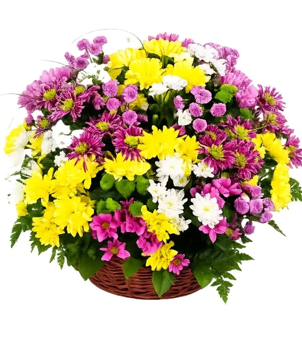 Product A basket of colorful daisies Image