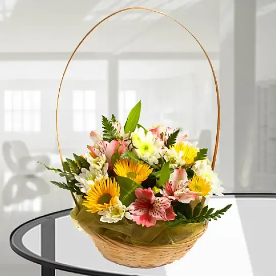 Produkt Subtelna Elegancja Zdjęcie
