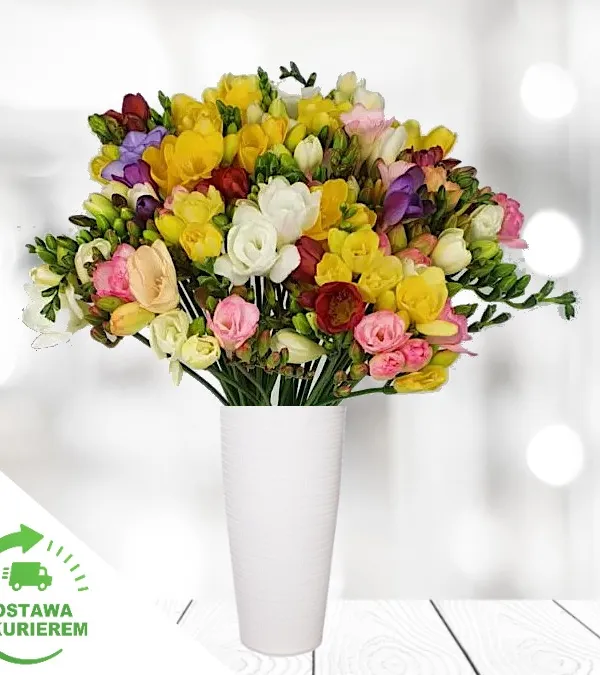 Produkt Bukiet 50 kolorowych frezji Zdjęcie