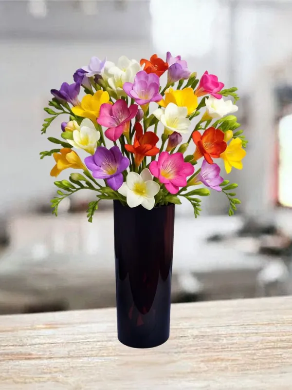 Produkt 21 Kolorowych Frezji Zdjęcie