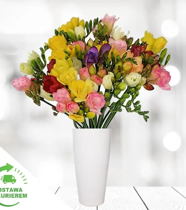 Produkt Bukiet 25 kolorowych frezji Zdjęcie