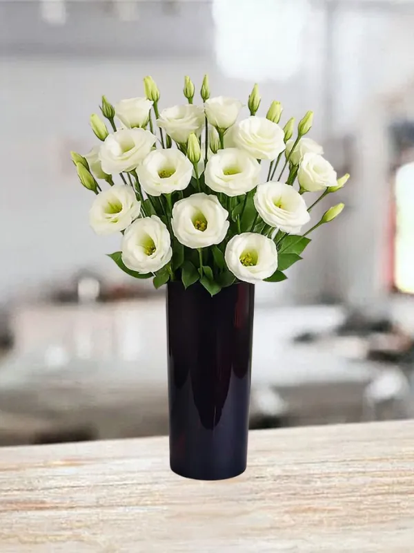 Produkt 15 Białych Eustom Zdjęcie