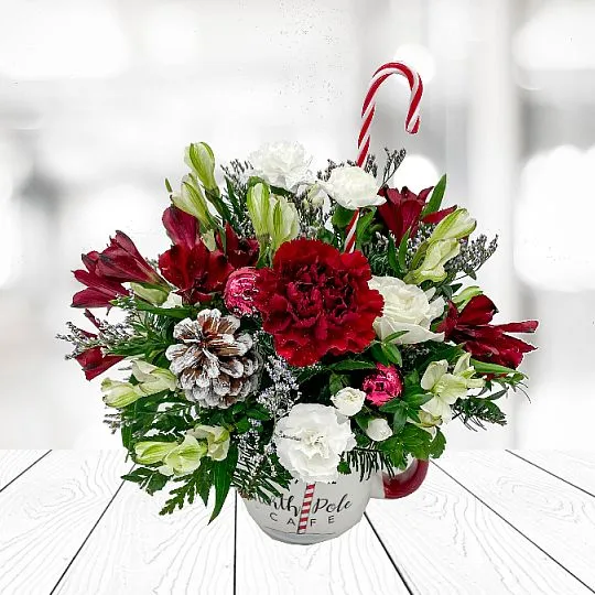 Produkt Flowerbox Wigilijny Zdjęcie