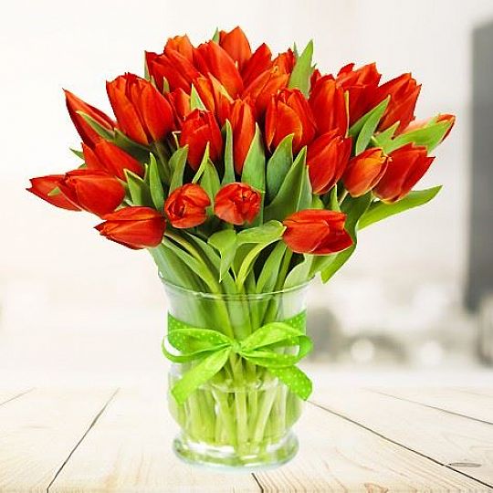 30 czerwonych tulipanów