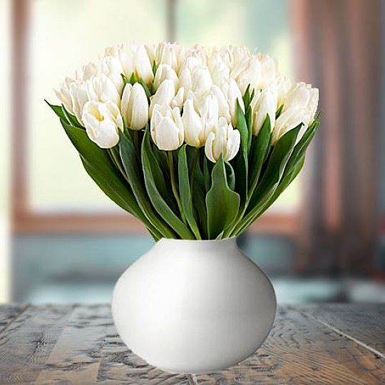 30 białych tulipanów