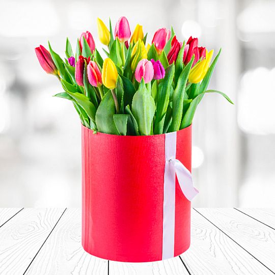 Flowerbox 25 Kolorowych Tulipanów