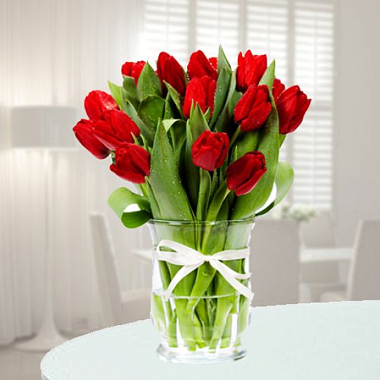 25 czerwonych tulipanów