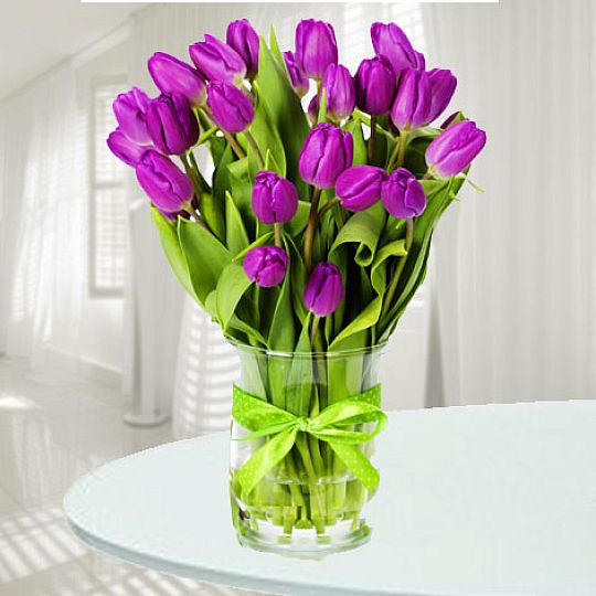 20 fioletowych tulipanów - Niemcy
